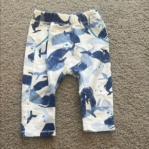 Zara Blue and White Shark Print Leggings